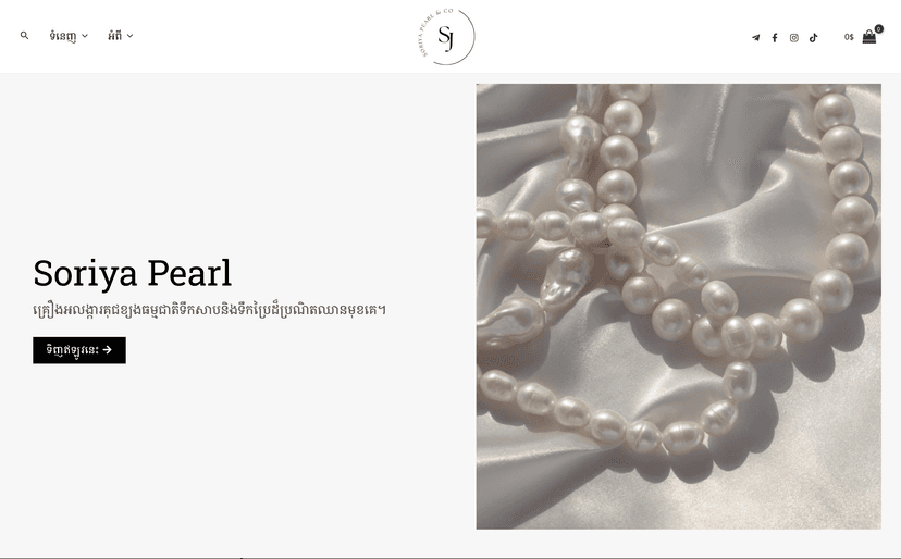 Ecommerce Website 